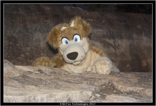 IMG_3438.jpg