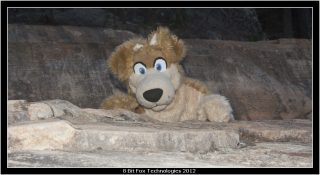IMG_3439.jpg