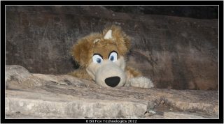 IMG_3441.jpg