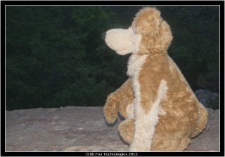 IMG_3445.jpg