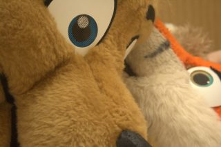 IMG_4603.png