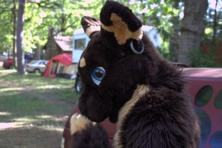 IMG_0153.png