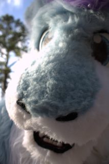 IMG_0186.png