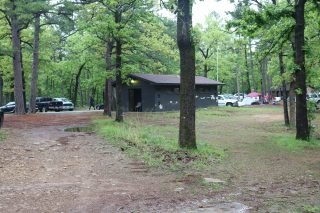 IMG_0229.JPG