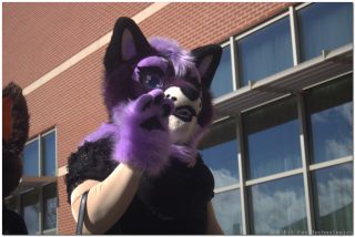 IMG_2029.png