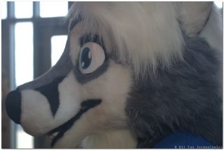 IMG_2062.png