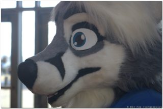 IMG_2064.png