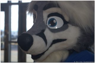 IMG_2065.png