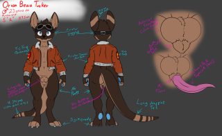 Orion character sheet nsfw.png