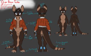 Orion character sheet.png