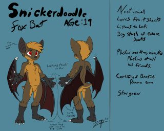 Snickerdoodle Character sheet pg.png