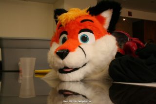 IMG_1145.jpg