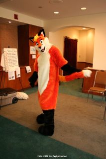 IMG_1163.jpg