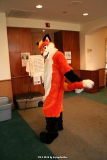 IMG_1167.jpg