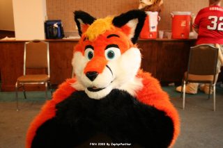 IMG_1189.jpg