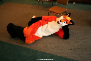 IMG_1208.jpg