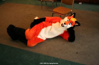 IMG_1209.jpg
