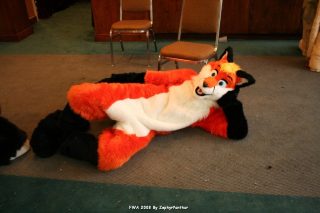 IMG_1212.jpg