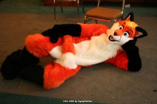 IMG_1216.jpg