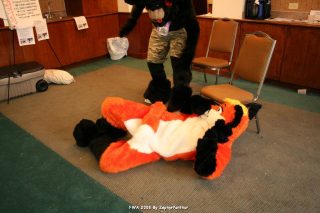 IMG_1221.jpg