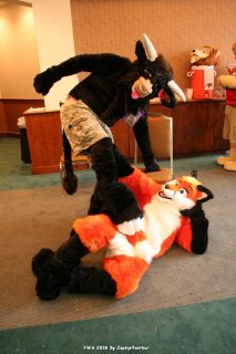 IMG_1231.jpg