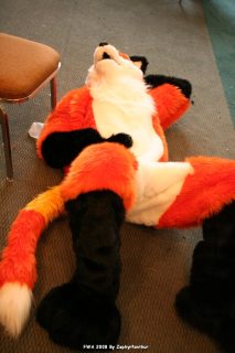 IMG_1243.jpg