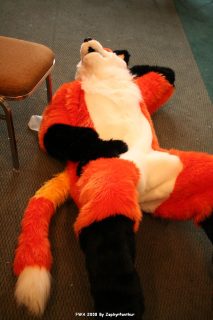 IMG_1245.jpg