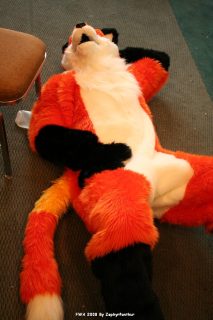IMG_1247.jpg