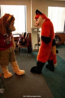 IMG_1268.jpg