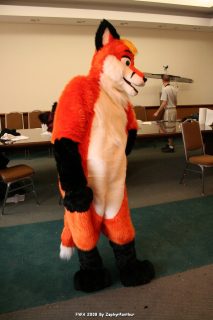 IMG_1275.jpg