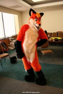 IMG_1278.jpg