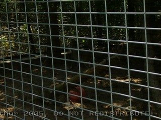 PICT0010.jpg