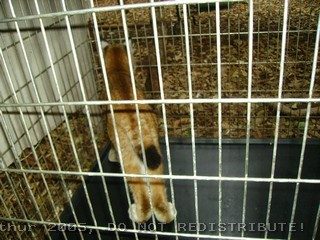 PICT0013.jpg