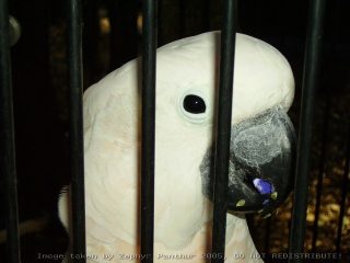 PICT0025.jpg