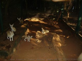 PICT0027.jpg