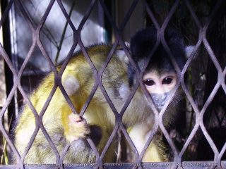 PICT0038.jpg