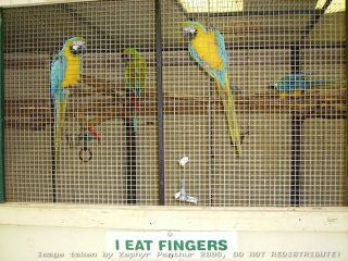 PICT0041.jpg