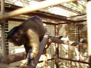PICT0046.jpg