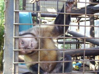 PICT0049.jpg
