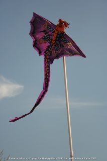 IMG_3257.jpg