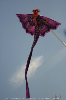 IMG_3259.jpg