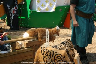 IMG_3285.jpg