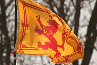 IMG_3345.jpg