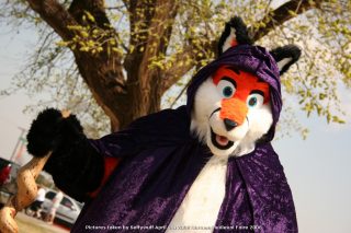 IMG_3369.jpg