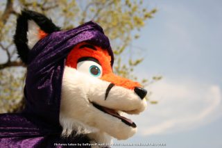 IMG_3371.jpg