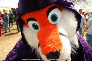 IMG_3394.jpg