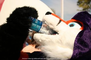 IMG_3410.jpg