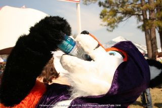 IMG_3411.jpg