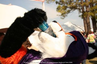 IMG_3413.jpg