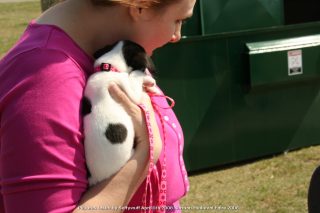 IMG_3418.jpg